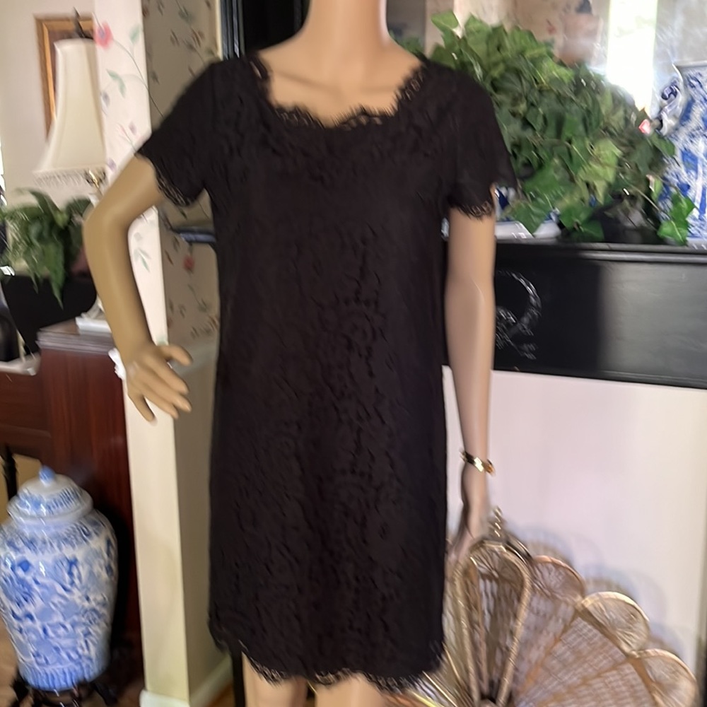 Joie lace dress